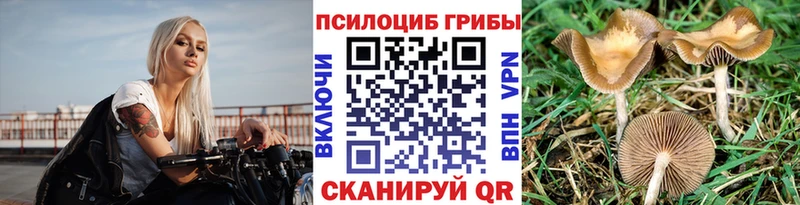 Галлюциногенные грибы MAGIC MUSHROOMS  наркошоп  Челябинск 