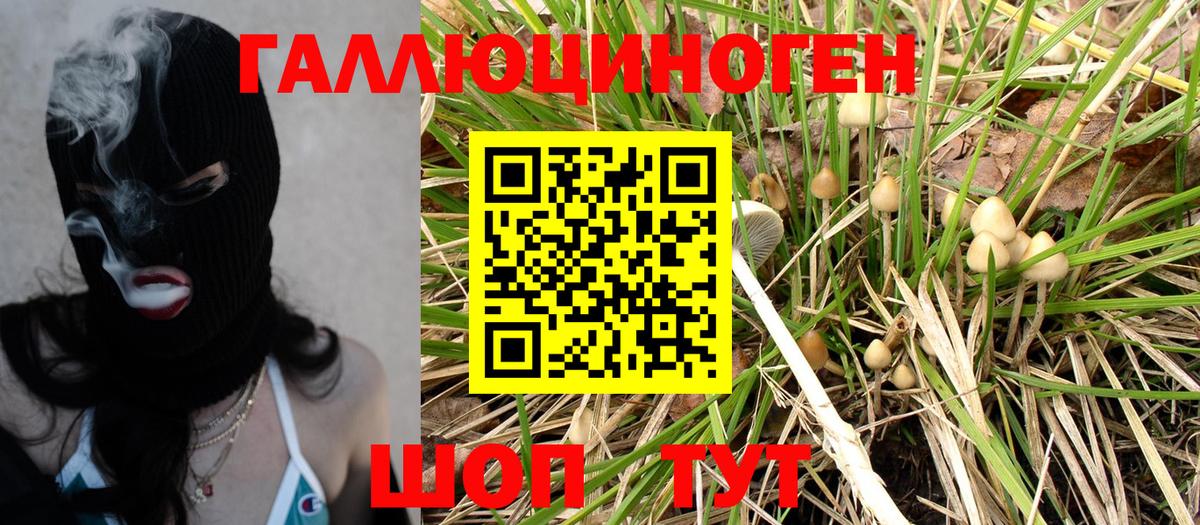 Галлюциногенные грибы MAGIC MUSHROOMS Челябинск