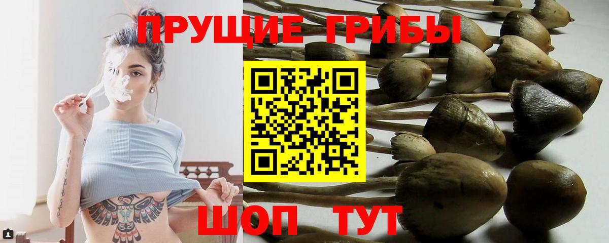 Челябинск  Галлюциногенные грибы Cubensis  продажа наркотиков  Вход с VPN 